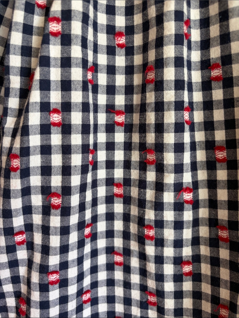 Maeve Anthropologie Gingham Check Skirt in Navy/White w/Red Embroidery - Picture 4 of 7